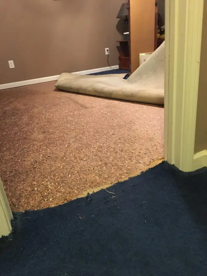 Carpet pad removal revealing water damage during Drying & Dehumidification in Ladera Ranch