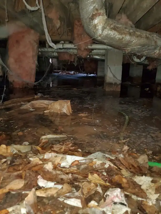 Crawl space flood assessment for Leak Detection & Repair in Ladera Ranch
